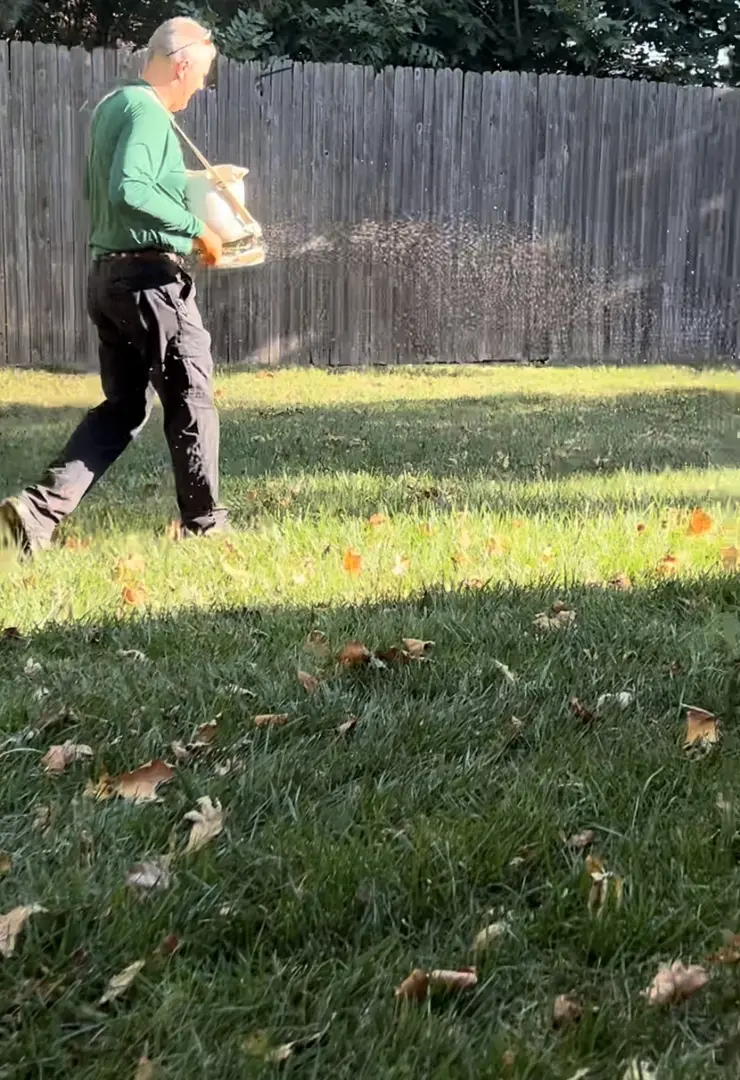 Overseeding